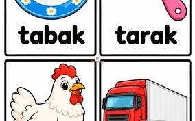 T sesi içeren resimli kelime kartları önizlemesi